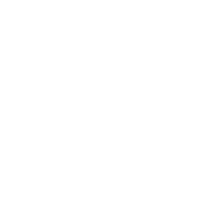play-icon